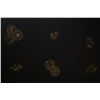 Image 21 : 1903-08 Empress Dowager Cixi Coromandel Six Panel