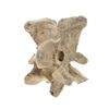 Image 4 : South Dakota Buffalo Vertebrae w/ Iron Arrowhead