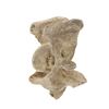 Image 5 : South Dakota Buffalo Vertebrae w/ Iron Arrowhead