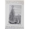 Image 8 : "The Mountains of California" John Muir 1st Ed.