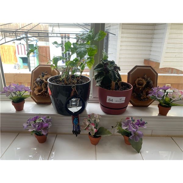 Real Jasmine Plant, Real African Violent Plant, 5 Artificial Plants (mini) & Home Decor