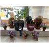Image 1 : Real Jasmine Plant, Real African Violent Plant, 5 Artificial Plants (mini) & Home Decor