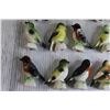 Image 3 : (19) Tender Leaf Tea Porcelain Birds