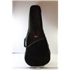 Image 1 : Rogue Valley Guitar case
