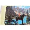 Image 2 : RCMP Tray - 15" x 10"