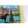 Image 3 : RCMP Tray - 15" x 10"