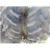 Image 11 : 1983 White Tractor  2-135 Series 3 Dual Rear Tires, 10ft Dozer Blade