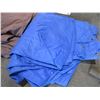 Image 4 : Two Canvas Tarps and a Blue Poly Tarp