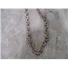 Image 3 : 8ft Chain