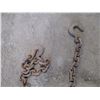 Image 4 : 8ft Chain