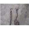 Image 2 : Chain 12ft