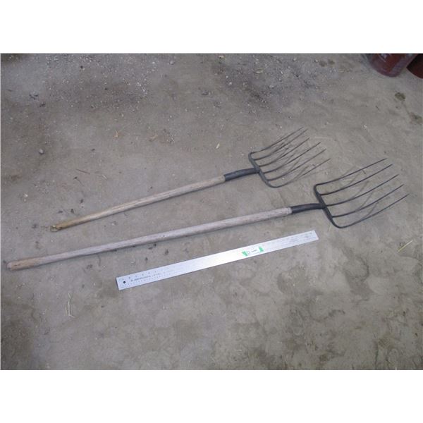 (2) Forks
