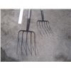 Image 2 : (2) Forks