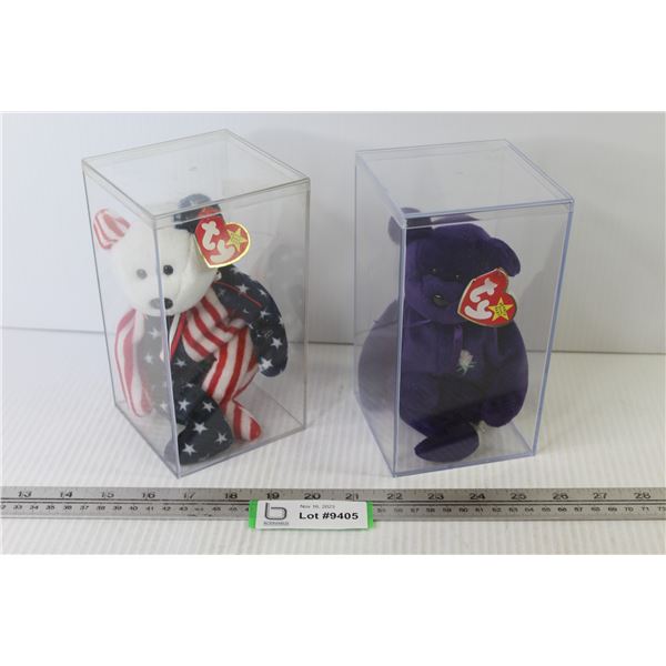 (2) Beanie Baby Bears in Plastic Cases