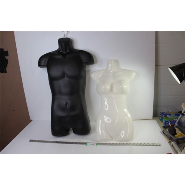 (2) Half Torso Forms (31 - 25 )