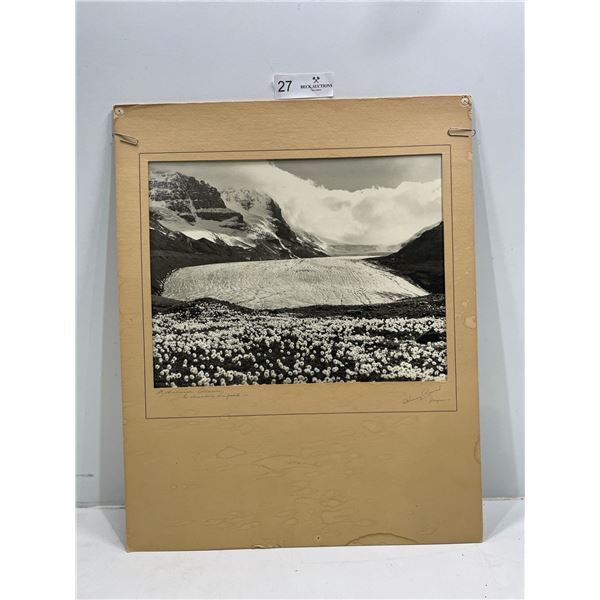 Harry Rowed O'Neill- Jasper, Print 20L x 15W