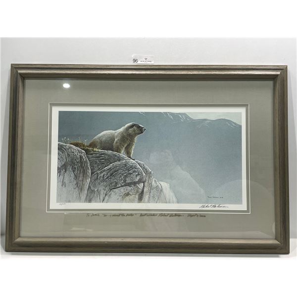 Robert Bateman Signed, "Hoary Marmot",62/450 Limited Edition Print, 34L x 23W