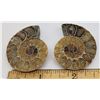 Image 1 : 5)  COMPLETE AMMONITE SPLIT FOSSIL SPECIMEN,