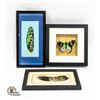 Image 1 : FRAMED (2) ORIGINAL FEATHERS