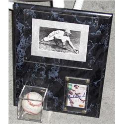 Buck O'Neal 3 Signatue Plaque