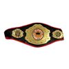 Image 1 : Southpaw Billy Hope (Jake Gyllenhaal) Title Belt Movie Props