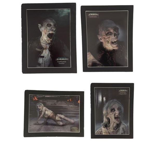 Castlevania Concept Character Boards