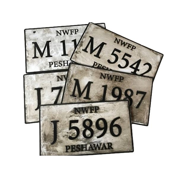 Resident Evil: The Final Chapter Pakistan Vehicle License Plates Movie Props