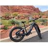 Image 1 : Premium All-terrain Electric Fat Bike Zebra