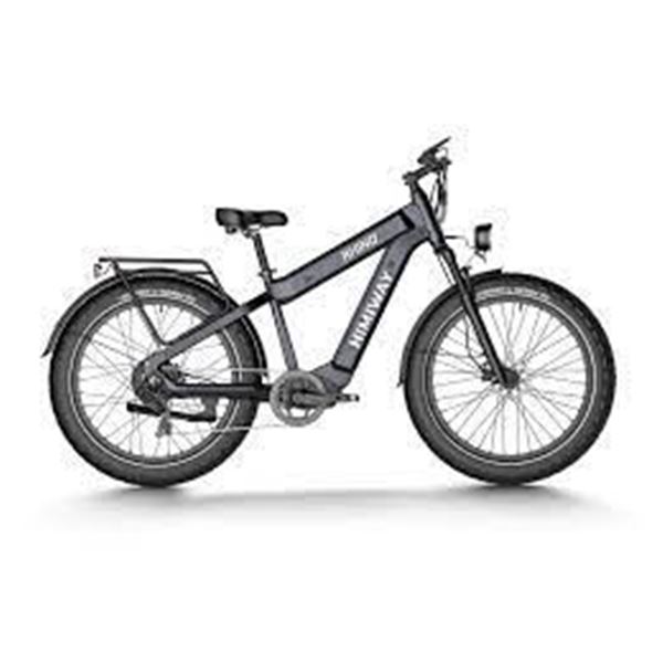 Himiway Dual Battery Off-road Electric Bike Rhino