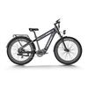 Image 1 : Himiway Dual Battery Off-road Electric Bike Rhino