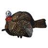 Image 1 : AVIAN-X LCD HALF-STRUT JAKE TKY DECOY