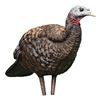 Image 1 : AVIAN-X LCD BREEDER HEN TKY DECOY