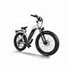 Image 1 : Himiway All Terrain Step Thru Cruiser