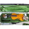 Image 3 : Violin with case