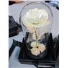Image 4 : Preserved Rose in Glass Dome Gift Box Lot of 3