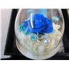 Image 9 : Preserved Rose in Glass Dome Gift Box Lot of 3