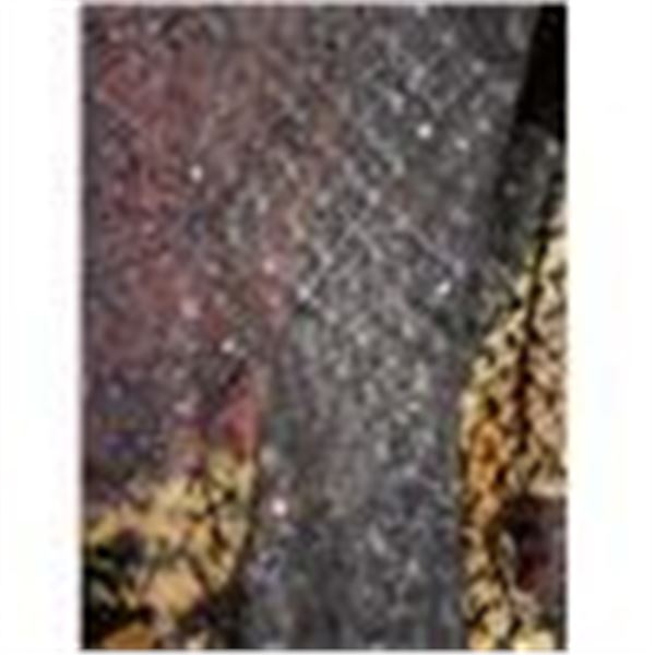 500metres JAPANESE LACE NET WITH EMBROIDERY