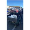 Image 3 : 0000 EZ GO GOLFCART
