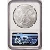 Image 2 : 2021 Type 2 $1 American Silver Eagle Coin NGC MS70