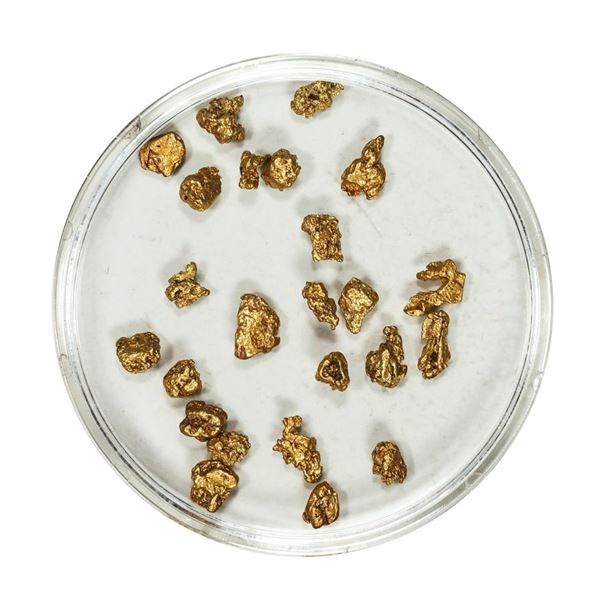 Gold Nuggets 3.49 Grams Total Weight