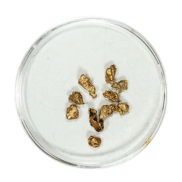 Gold Nuggets 1.70 Grams Total Weight