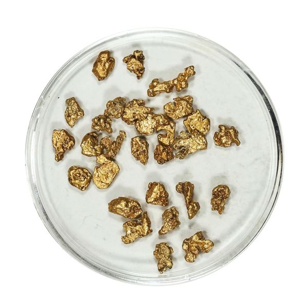 Gold Nuggets 4.60 Grams Total Weight