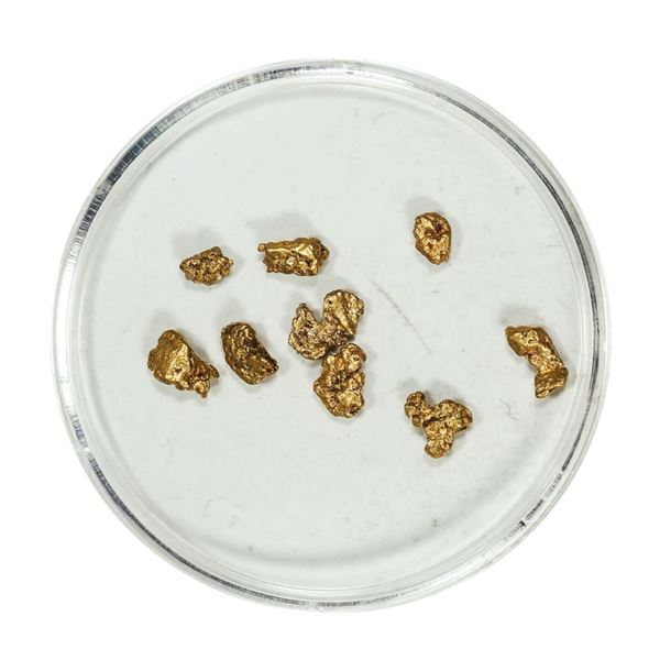 Gold Nuggets 1.62 Grams Total Weight