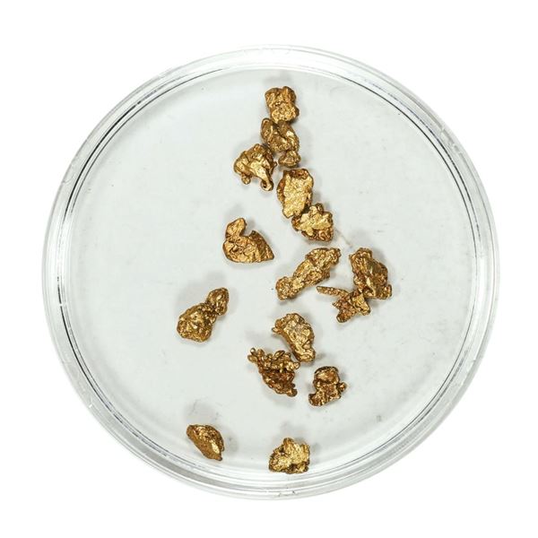 Gold Nuggets 2.09 Grams Total Weight