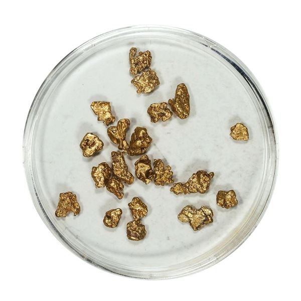 Gold Nuggets 2.81 Grams Total Weight