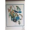 Image 2 : Two framed prints including Florida jay and Yellow breasted chat, each 21" X 24" including frames. N