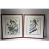 Image 1 : Two framed prints including Brown pelican and Turtle dove, each 21" X 24" including frames. Note: Th