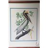 Image 3 : Two framed prints including Brown pelican and Turtle dove, each 21" X 24" including frames. Note: Th