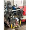 Image 1 : MILLER CST 280 MIG WELDER WITH HELMETS/ELECTRODES AND ROLLING WORK CART