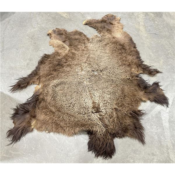 Large Antique Plains Indian Buffalo Hide Rug